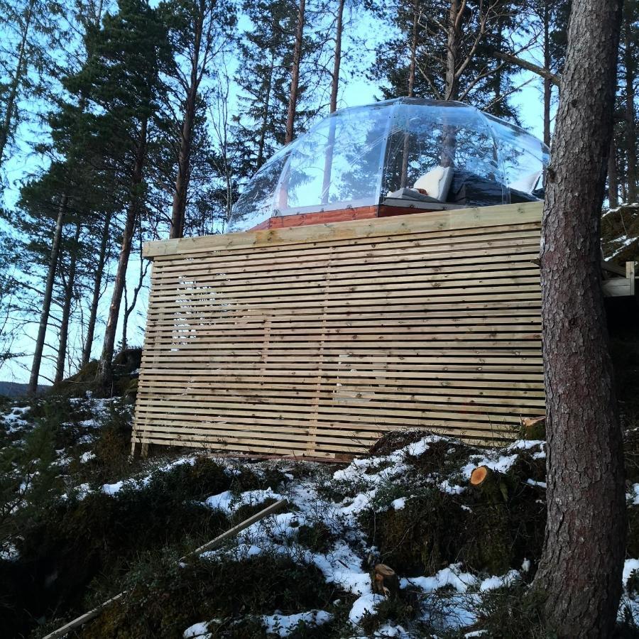 Sorfjorden Eye Iglo - Fosen Hotel Husby Exterior photo
