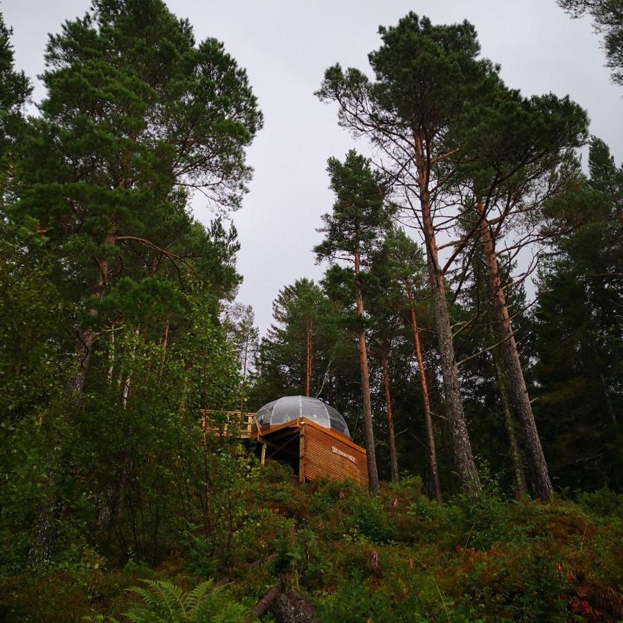 Sorfjorden Eye Iglo - Fosen Hotel Husby Exterior photo